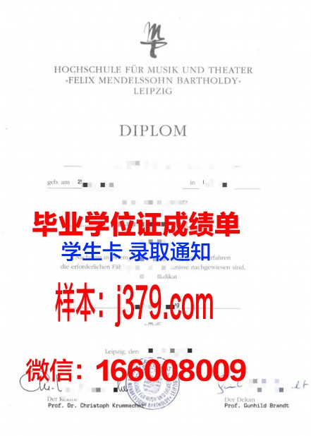 莱比锡HHL管理学院硕士毕业证(莱比锡大学硕士专业)