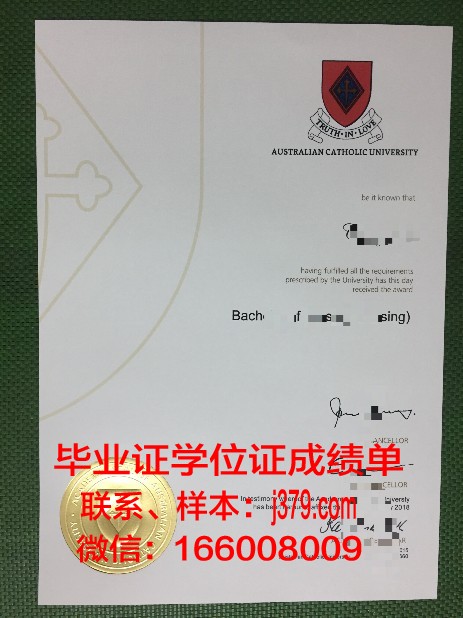 巴拉那天主教大学毕业证是真的吗(圣经中巴拉的结局是怎样的)