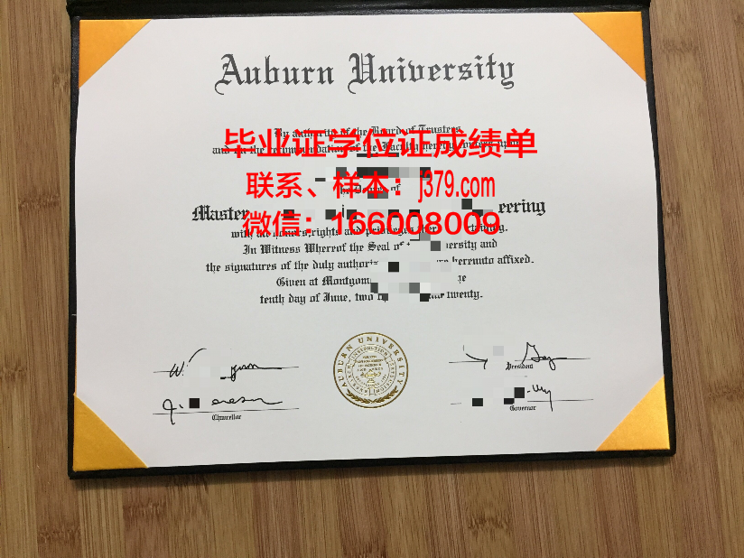莱奥本矿业大学毕业证案例(奥地利莱奥本矿业大学)