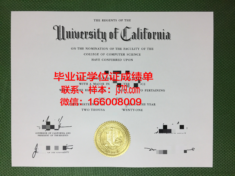 西伯利亚国立电信与信息大学毕业证成绩单