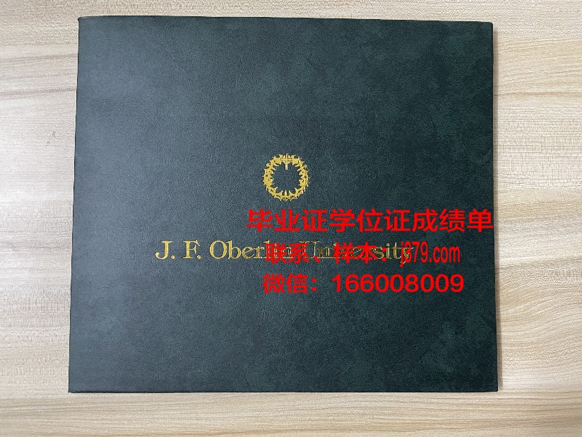 莱西姆大学八打雁校区毕业证样本(莱西姆大学排名)