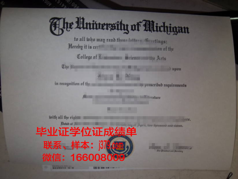 大学毕业证皮套：承载青春记忆的珍贵守护者