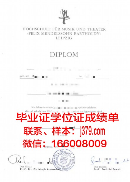 莱比锡HHL管理学院毕业证学位证(莱比锡大学本科申请条件)