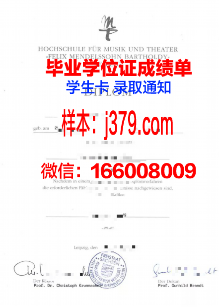 莱比锡技术、经济与文化应用技术大学硕士毕业证：一份国际认可的学术荣誉
