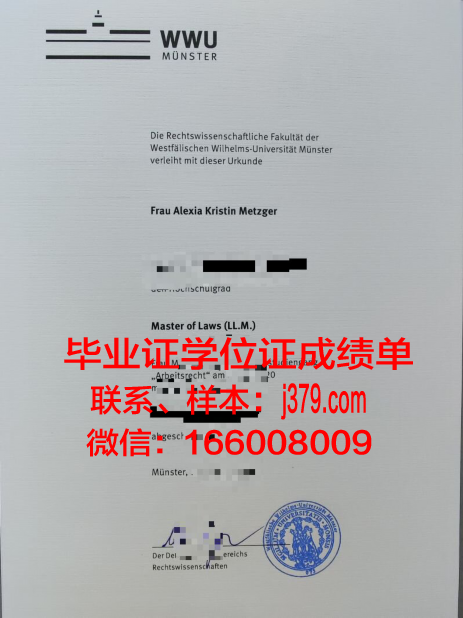 明斯特应用技术大学毕业证：开启职业生涯的金钥匙