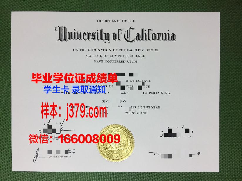 莱茵应用技术大学的毕业证啥样(莱茵国际学校)