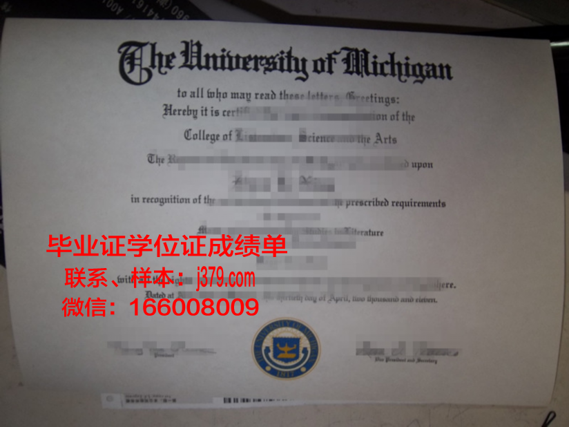 奈梅亨大学毕业证原版(奈梅亨又叫什么)