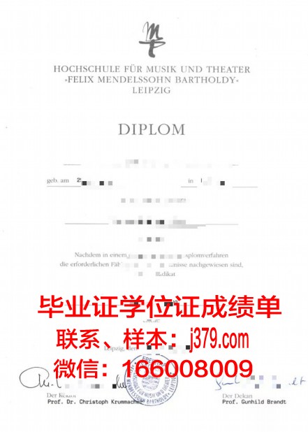 莱比锡HHL管理学院研究生毕业证(莱比锡大学研究生)