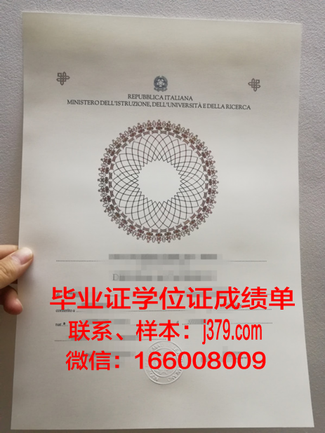 西兰商务与技术学院毕业证尺寸