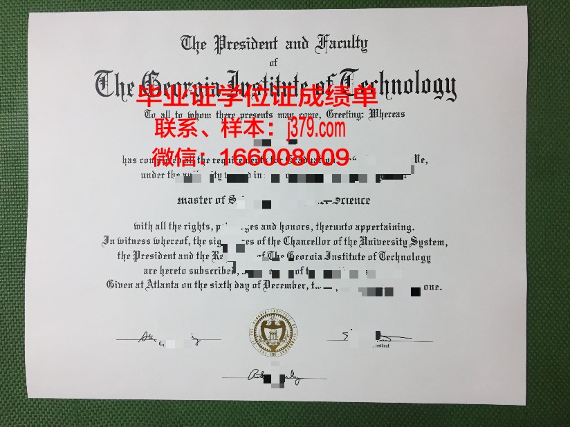 莱利亚理工学院毕业证书模板(莱利亚理工学院官网)