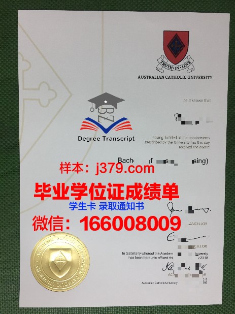 巴拉那天主教大学毕业证是什么模样