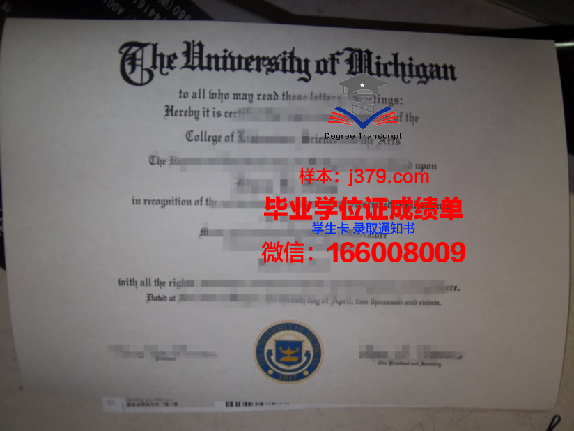 巴斯克大学毕业证高清图(巴斯克大区)