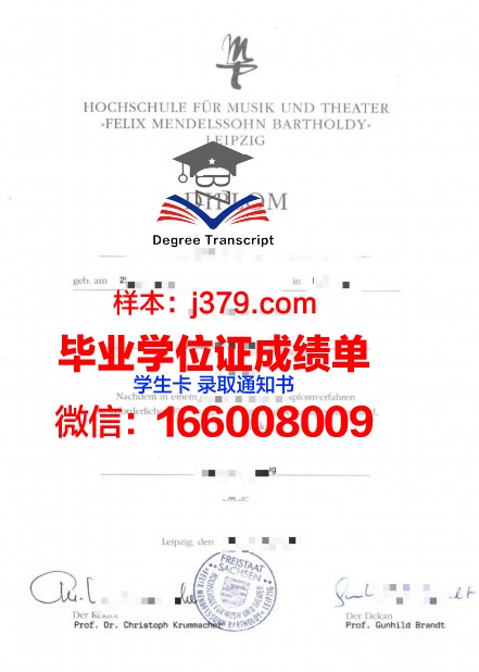 莱比锡技术、经济与文化应用技术大学硕士毕业证：一份国际认可的学术荣誉