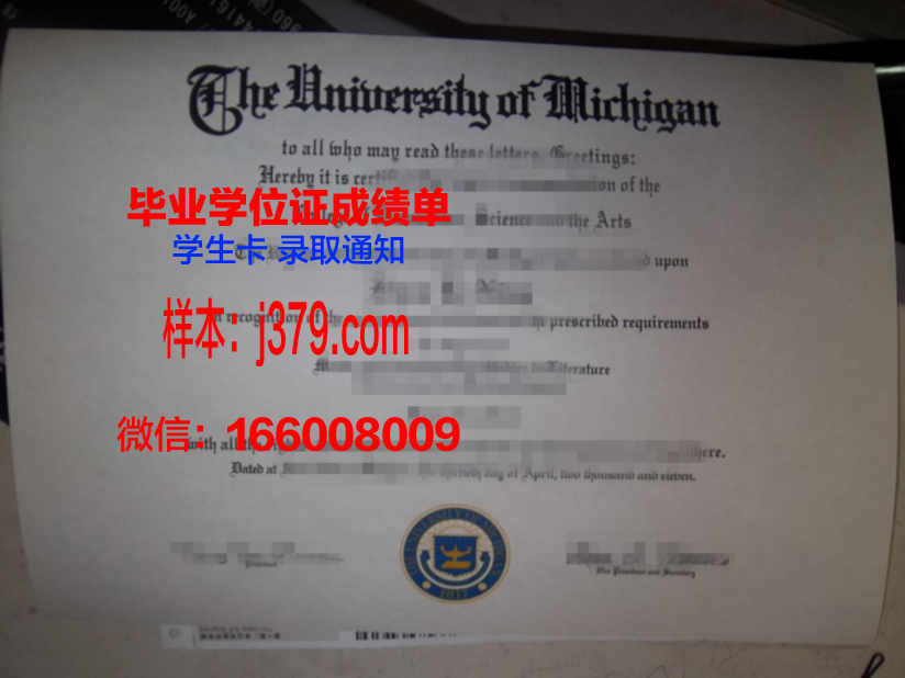 大邱工业大学博士毕业证：一份沉甸甸的荣誉与责任