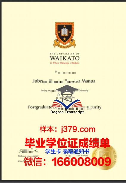 明尼苏达州立大学曼卡托校区毕业学位
