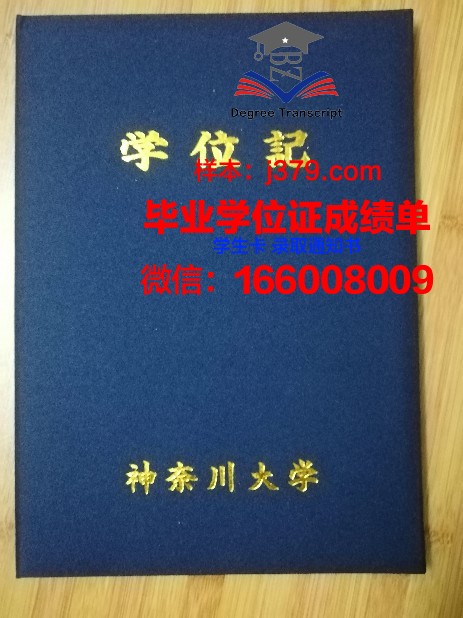 神奈川大学毕业证书图片模板(神奈川大学修士)