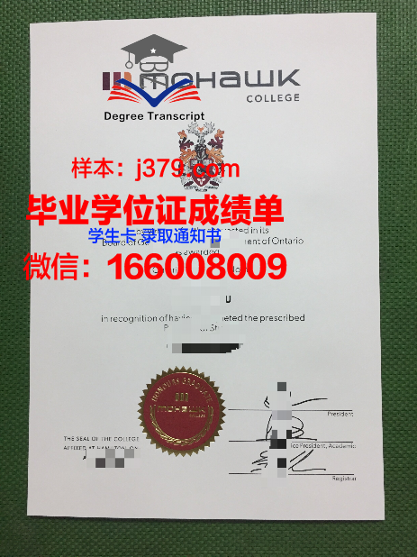 莫霍克应用艺术与技术学院学生卡(莫霍克科技有限公司怎么样)