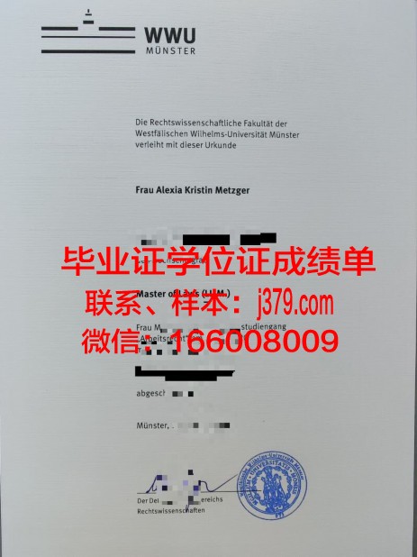 明斯特艺术学院毕业证成绩单：承载荣誉与梦想的纸笔之间
