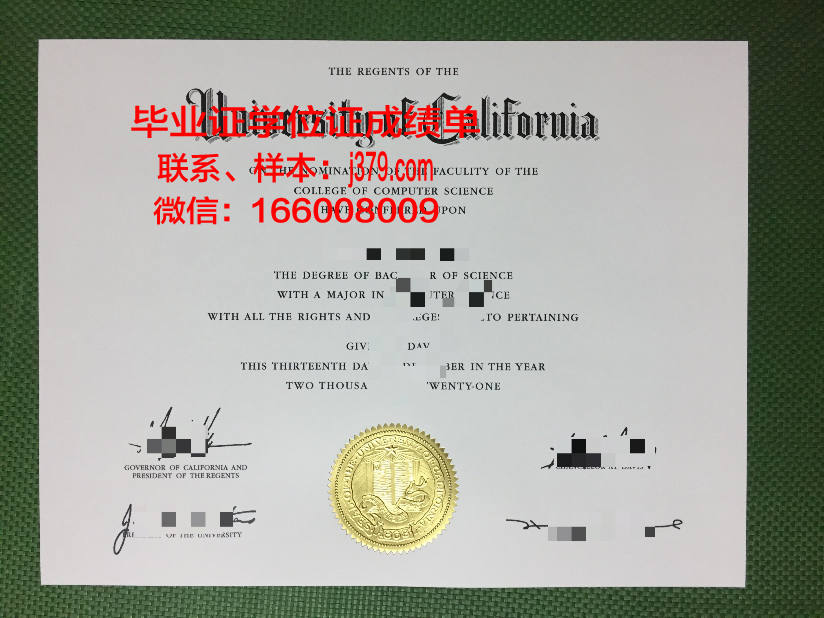 明尼苏达大学双城分校毕业证书图片高清(明尼苏达大学双城分校在哪)