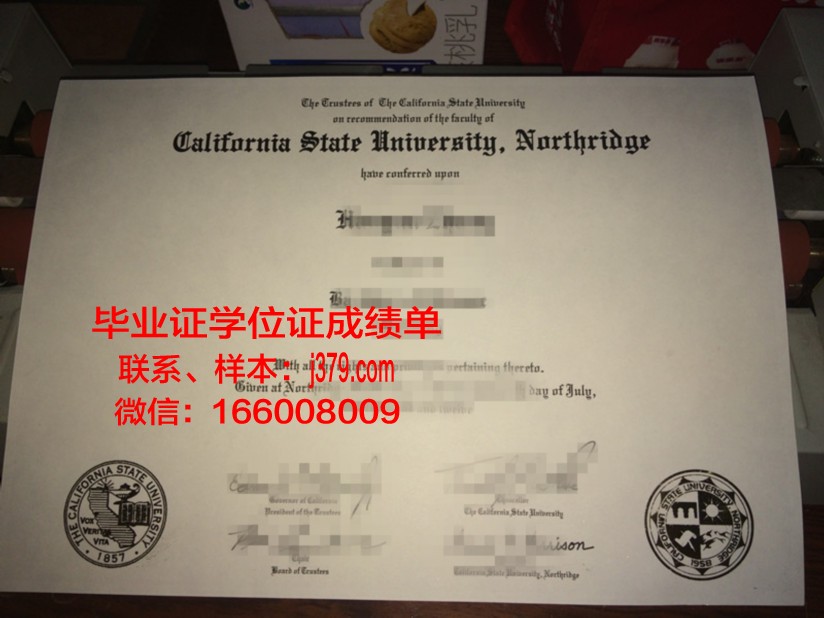 明尼苏达州立学院-东南技术分校毕业学位