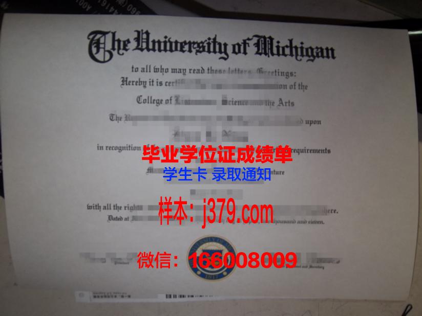 莱茵曼应用技术大学毕业证图片(莱茵学院是不是有酒店)