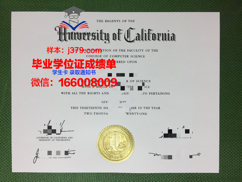 奈梅亨大学毕业证原版(奈梅亨又叫什么)
