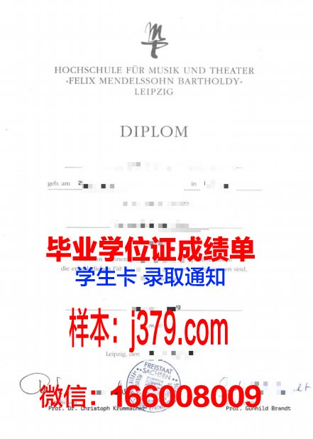 莱比锡音乐和戏剧学院硕士毕业证书样本(莱比锡音乐家)