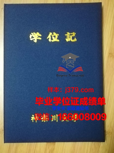 神奈川工科大学拿不了毕业证(神奈川大学本科是几年)