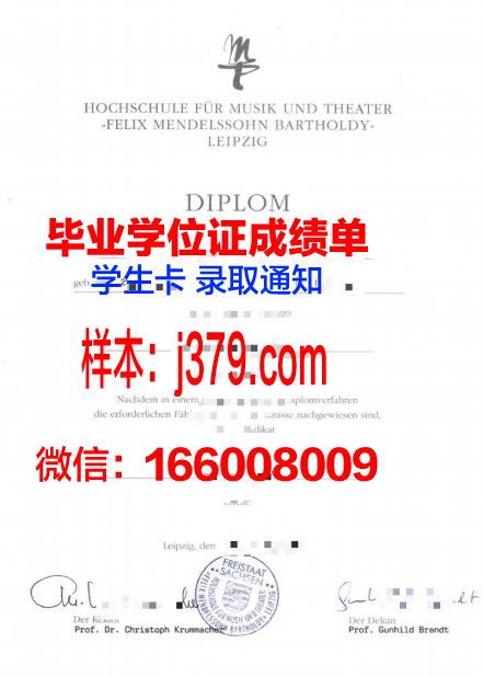 莱比锡大学毕业证翻译(莱比锡大学英语)