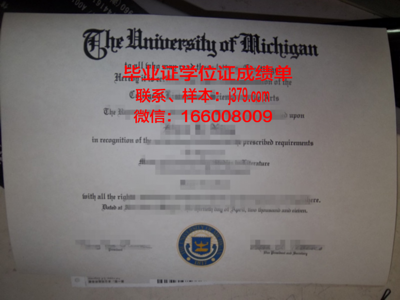 秋明国立大学毕业证长什么样(秋明国立大学毕业证长什么样子图片)