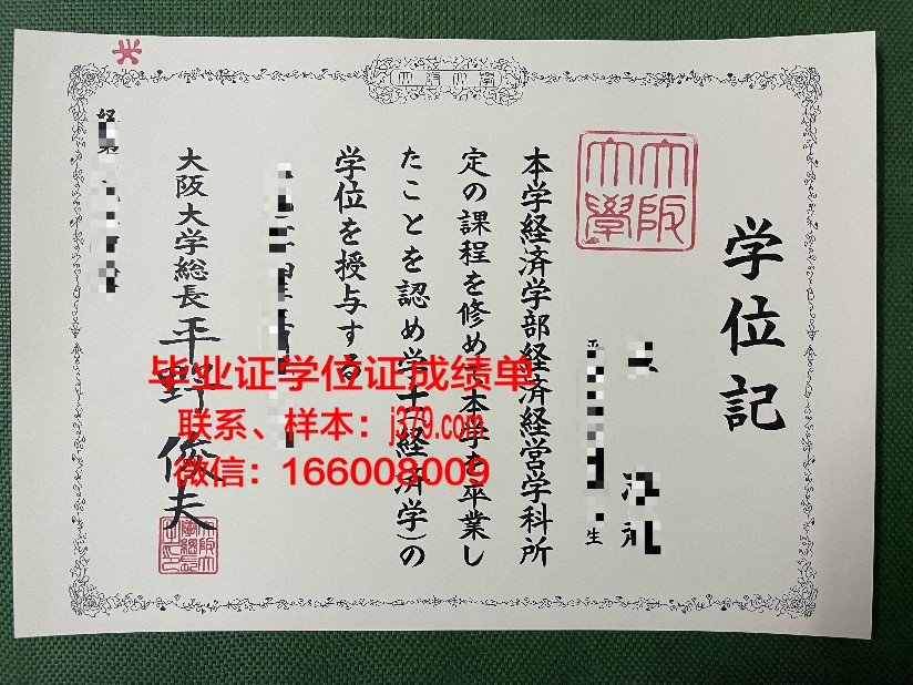 大阪市立大学成绩单图片(大阪市立大学成绩单图片大全)