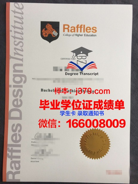 莱佛士学位证成绩单：解锁未来职业发展之路