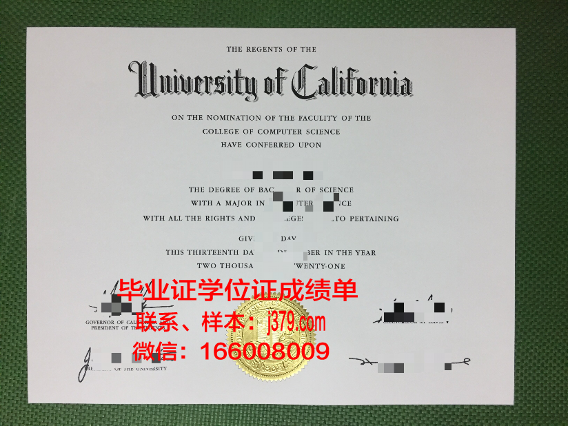 莱顿大学毕业证真伪(布莱顿大学毕业证)