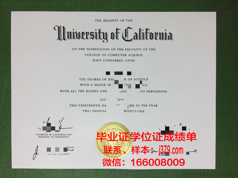 莱切美术学院毕业证样本(美院毕业证图片)