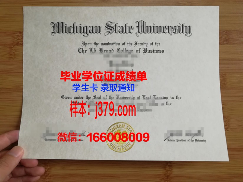 明尼苏达州立学院-东南技术分校毕业学位