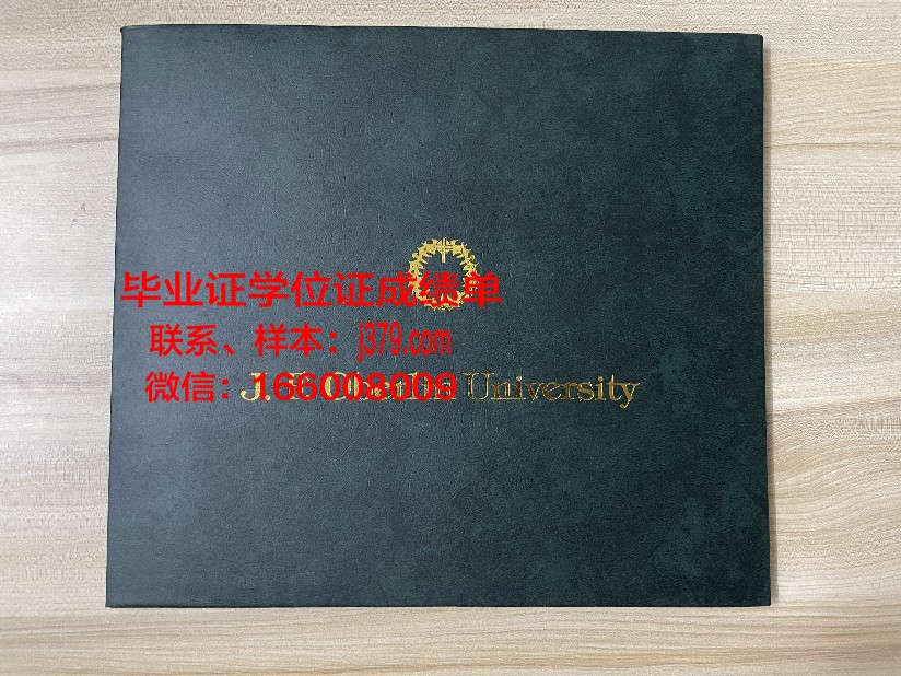 普瓦提埃大学国立高等工程师学院毕业证高清图(普瓦提埃大学iae)