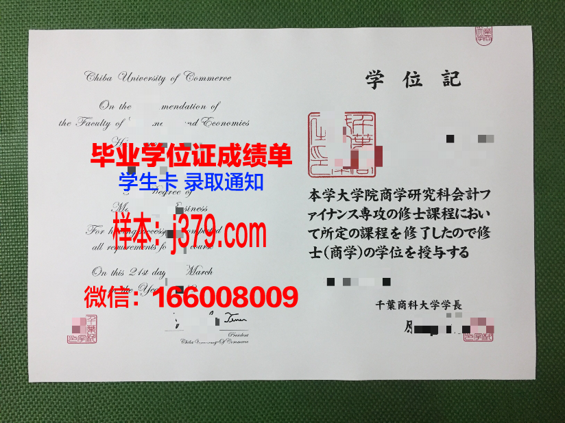 莱比锡HHL管理学院毕业证成绩单：国际化商科教育的璀璨成果