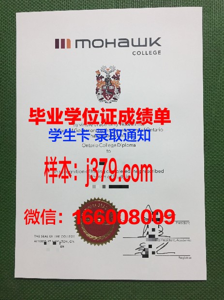 莫霍克应用艺术与技术学院本科毕业证(莫霍克科技有限公司怎么样)