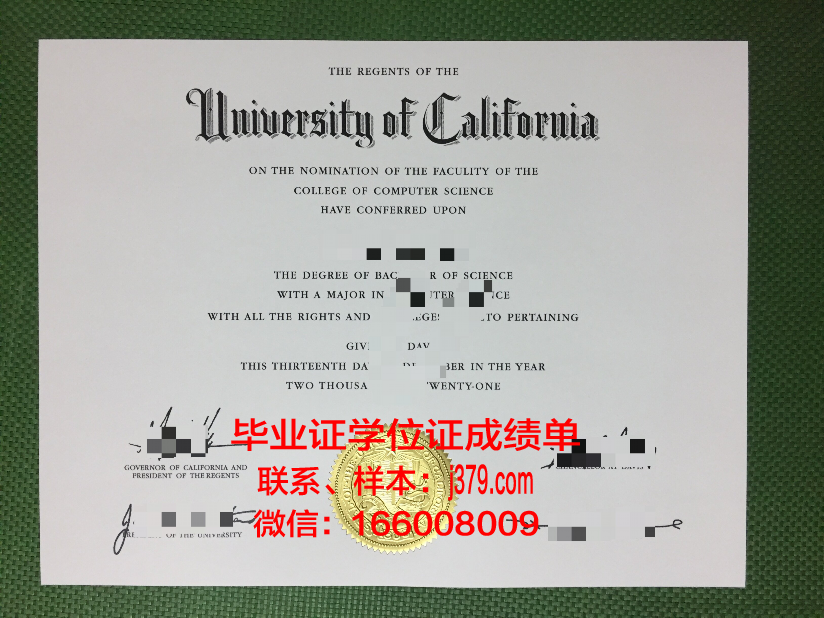 星城大学硕士毕业证：一张纸的重量与价值