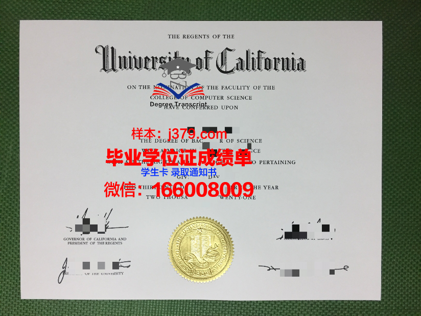 西伯利亚国立体育与运动大学毕业证成绩单：一份国际认可的荣誉证书