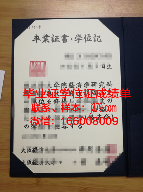 大阪设计师专门学校学位成绩单定制：匠心独运的艺术证书