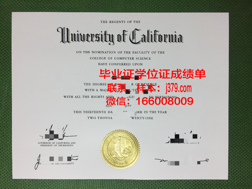 大真大学毕业证：承载梦想的通行证