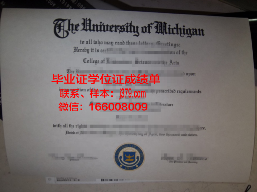 天际学区 diploma 毕业证