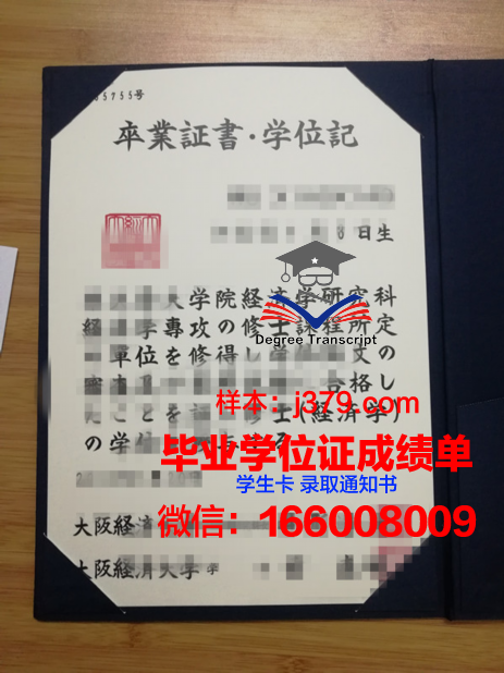 大阪大学成绩单：一份国际知名学府的学术见证