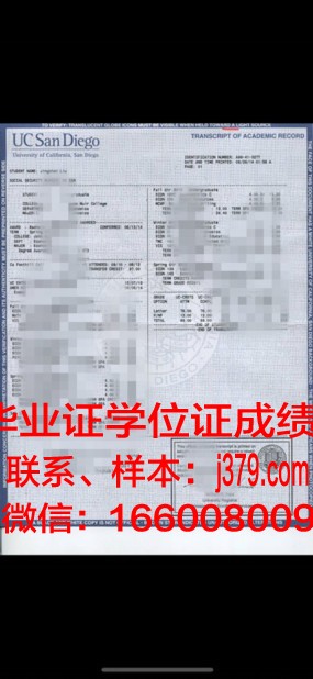 大阪府大成绩单：一份值得称赞的教育报告