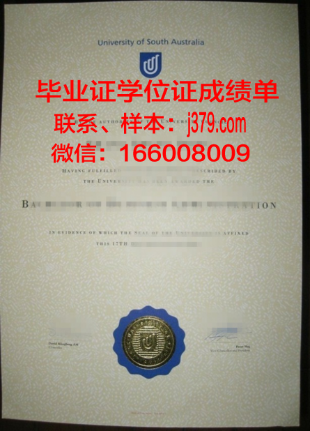 南澳大本科毕业证书图片高清：记录青春的荣耀瞬间