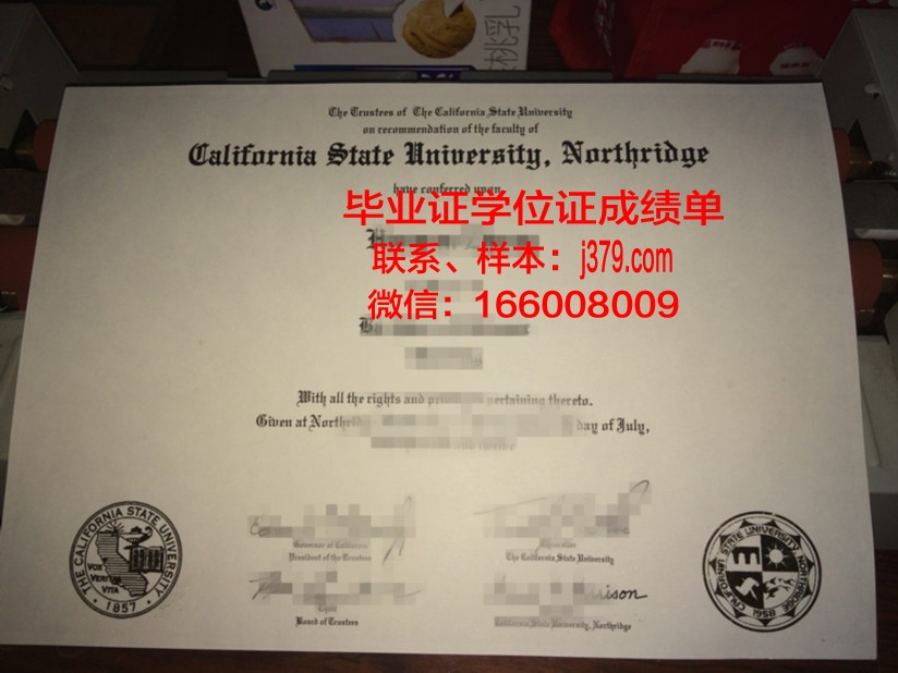 南哈萨克斯坦州立大学毕业证