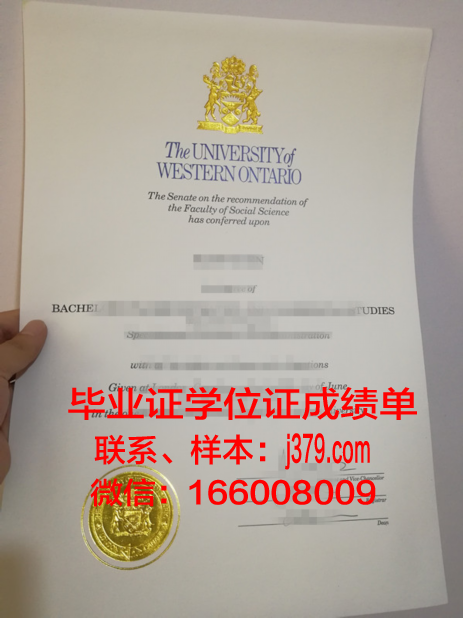 大学西安博士毕业证：知识与奋斗的见证
