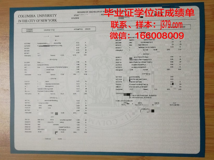 大师成绩单：见证成长与收获的印记