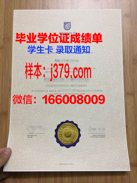 南澳大硕士毕业证图片高清：彰显荣誉，记录成长